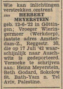 W33 Meijerstein Herbert_03