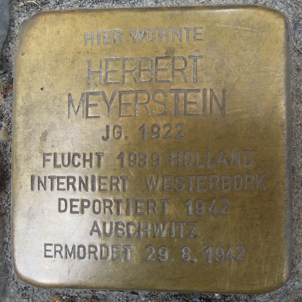 Meijerstein Herbert