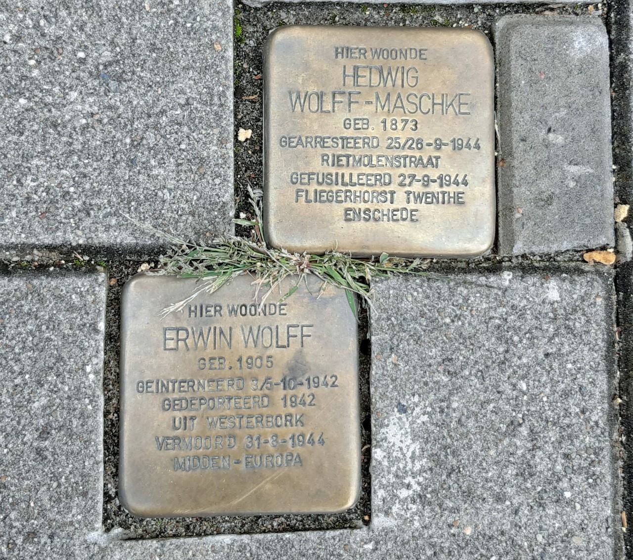Wolff-Maschke Hedwig Stolperstein